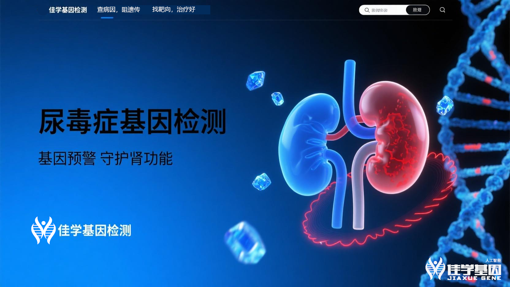 【mg不朽情缘基因检测】<font color='red'><font color='red'>尿毒症</font></font>基因检测寻找治疗靶点