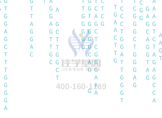 【mg不朽情缘基因检测】<font color='red'><font color='red'>庞贝</font>氏</font>症（Pompe disease)基因解码、基因检测