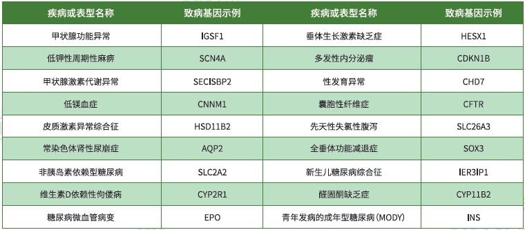 【mg不朽情缘基因检测】<font color='red'><font color='red'>内分泌</font>及<font color='red'>代谢</font><font color='red'>系统</font><font color='red'>疾病</font></font>致病基因鉴定基因解码