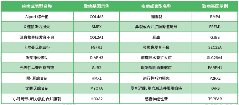 【mg不朽情缘基因检测】<font color='red'><font color='red'>耳鼻喉</font><font color='red'>系统</font><font color='red'>疾病</font></font>致病基因鉴定基因解码