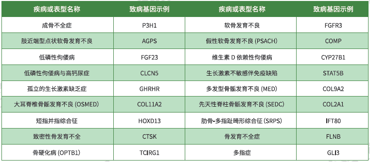【mg不朽情缘基因检测】<font color='red'><font color='red'>骨骼</font><font color='red'>系统</font><font color='red'>疾病</font></font>致病基因鉴定基因解码